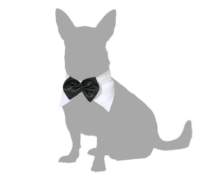 Déguisement pour chien pajarita de clown cirque noir en polyester, taille M