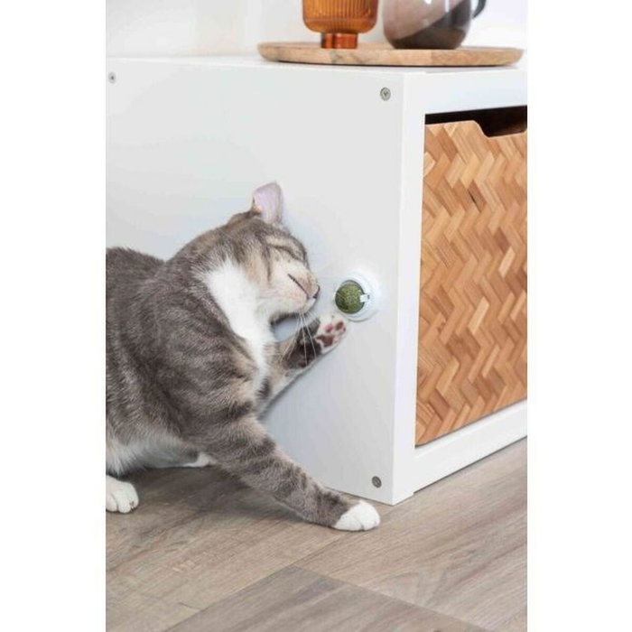 Trixie Jouet pour chats TX-42242 Vert Trixie Jouet pour chats TX-42242 Vert