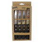 Amefa Set de 4 Couteaux à Steak Amefa Pp 21 cm Métal Brillant Manche PP