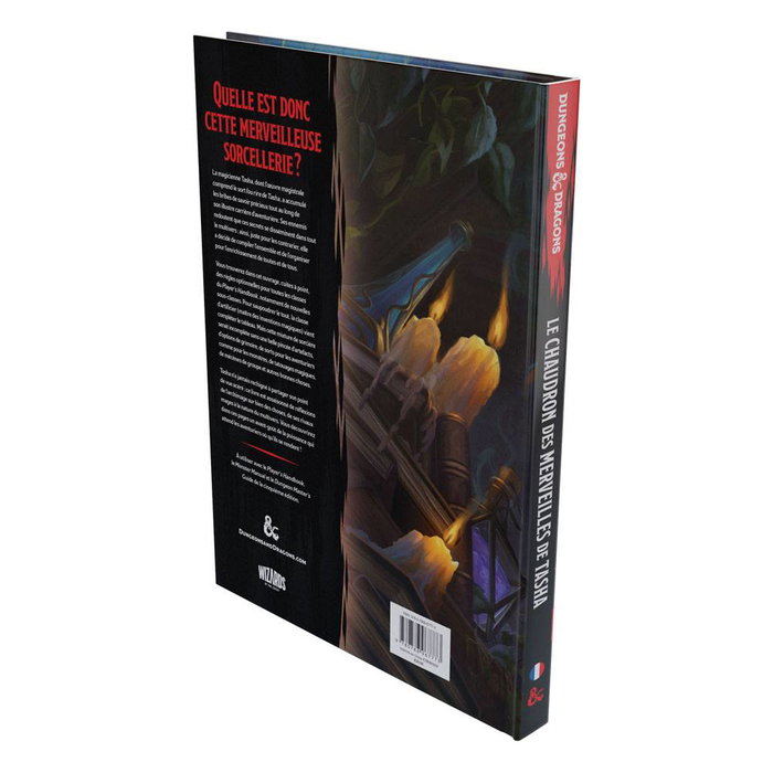 Dungeons & Dragons RPG Le Chaudron des Merveilles de Tasha *FRANCAIS* Dungeons & Dragons RPG Le Chaudron des Merveilles de Tasha *FRANCAIS*