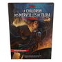 Dungeons & Dragons RPG Le Chaudron des Merveilles de Tasha *FRANCAIS*