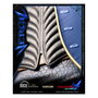 Devil May Cry 4 statuette Premium 1/4 Vergil 51 cm