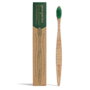 GEORGANICS Brosse à Dents Medium en Bois de Hêtre, Vert