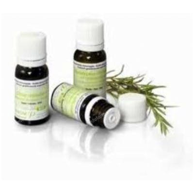 PRANAROM Huile essentielle de Genévrier Commun var. alpina BIO 5 ml PRANAROM Huile essentielle de Genévrier Commun var. alpina BIO 5 ml