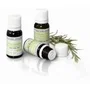 PRANAROM Huile essentielle de Genévrier Commun var. alpina BIO 5 ml