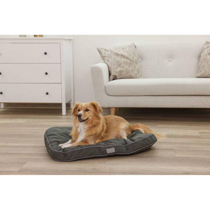 Kerbl Matelas de sol rembourré Jerome Vert foncé L