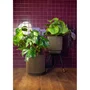 CAPI EUROPE Vase cylindre Groove NL 44 x 46 cm Noir et or