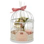 Home Deco Factory Jeu de diffuseur, bougie et cage Rêve Poudre