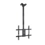 Tooq LPCE1175TSLI-B Support Plafond VESA pour TV 32-75 Pouces, 400x400mm, 60kg, Noir