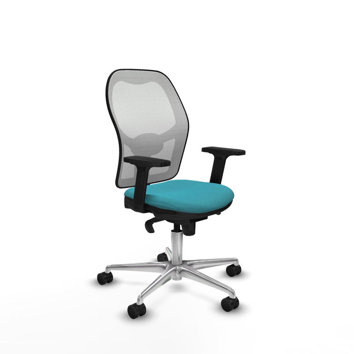 Piqueras y Crespo Chaise de Bureau 2D086N0 Turquoise Piqueras y Crespo Chaise de Bureau 2D086N0 Turquoise