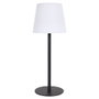 Home Deco Factory Lampe de Table LED Extérieure Rechargeable 40 cm