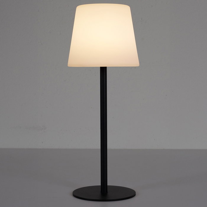 Home Deco Factory Lampe de Table LED Extérieure Rechargeable 40 cm