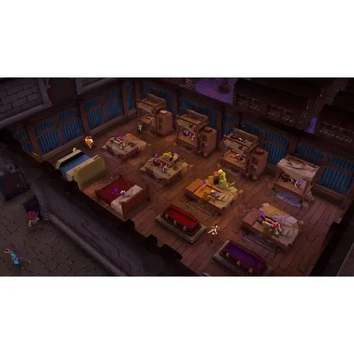 Microids - Le Maître du Donjon de Naheulbeuk - Jeu d'aventure Nintendo Switch - Édition Limitée