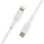 Belkin BOOST!CHARGE Câble USB-C vers Lightning 2m Blanc