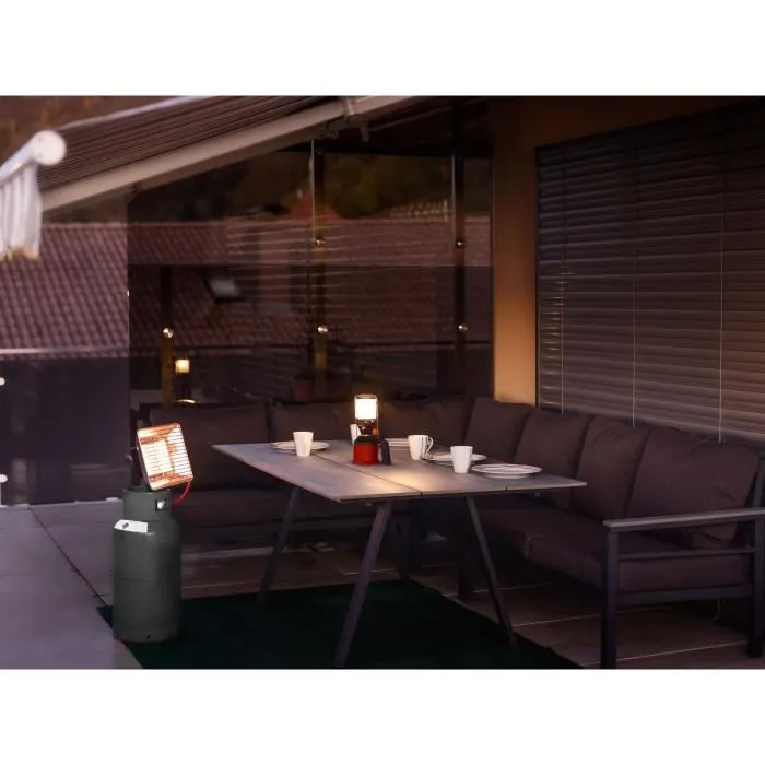 Rothenberger - Chauffage infrarouge de chantier 4200 W - Chauffage mobile au propane avec détendeur et flexible - Gris