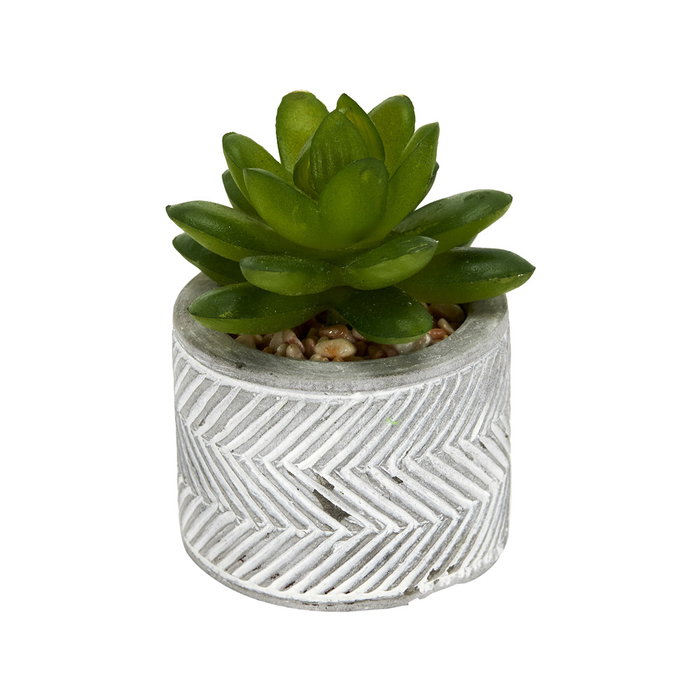 Home Deco Factory Plante Grasse Artificielle en Pot en Ciment