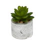 Home Deco Factory Plante Grasse Artificielle en Pot en Ciment
