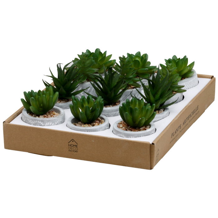 Home Deco Factory Plante Grasse Artificielle en Pot en Ciment
