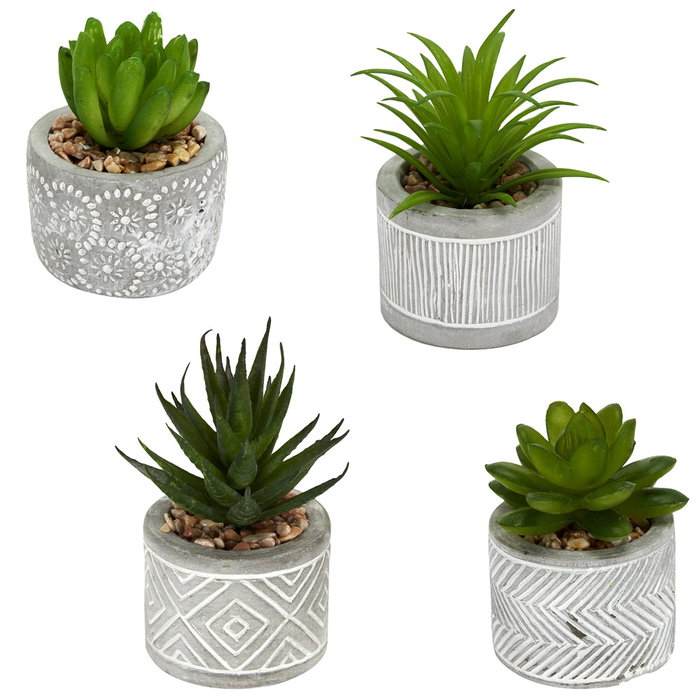 Home Deco Factory Plante Grasse Artificielle en Pot en Ciment