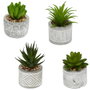 Home Deco Factory Plante Grasse Artificielle en Pot en Ciment
