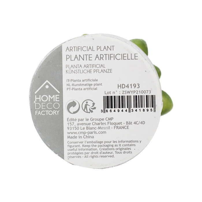 Home Deco Factory Plante Grasse Artificielle en Pot en Ciment