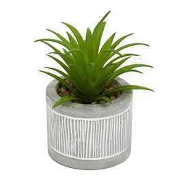 Home Deco Factory Plante Grasse Artificielle en Pot en Ciment
