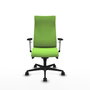 Piqueras Y Crespo Fauteuil Albacete, Mécanisme Synchrone, Pistache