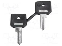 SCHNEIDER ELECTRIC Clé Harmony XB4 22mm, lot de 2 pièces