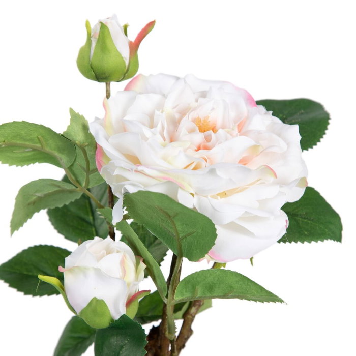 BigBuy Home Plante décorative Rose 16 x 16 x 31 cm BigBuy Home Plante décorative Rose 16 x 16 x 31 cm