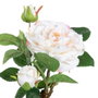 BigBuy Home Plante décorative Rose 16 x 16 x 31 cm
