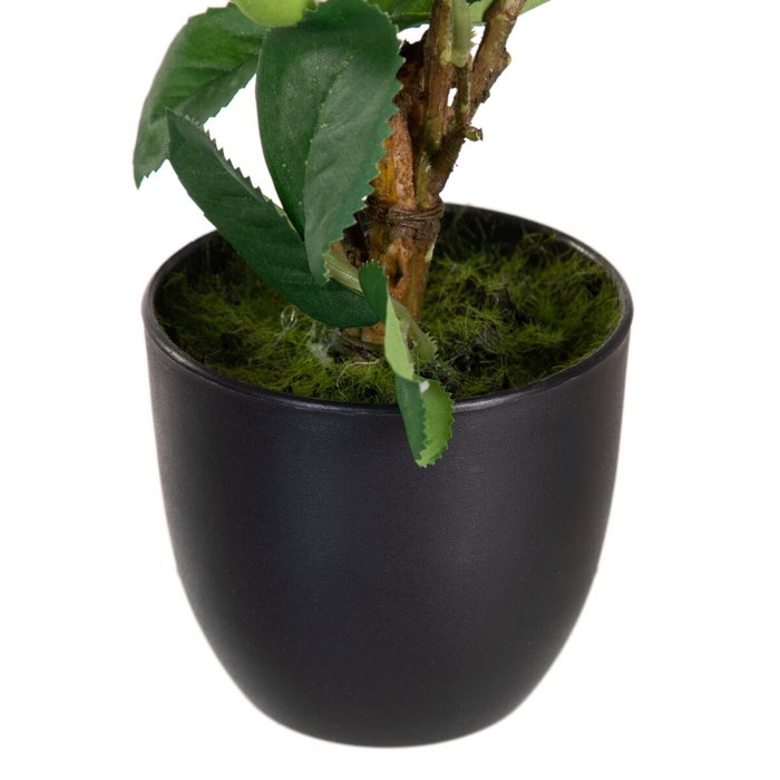 BigBuy Home Plante décorative Rose 16 x 16 x 31 cm BigBuy Home Plante décorative Rose 16 x 16 x 31 cm
