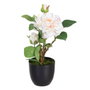 BigBuy Home Plante décorative Rose 16 x 16 x 31 cm