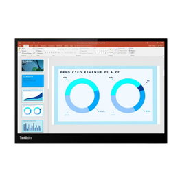 Lenovo ThinkVision M14d 14 inch 2240 x 1400 IPS Black