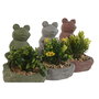 Plante décorative Home ESPRIT Polyéthylène Ciment Grenouille 9 x 9 x 13 cm (3 Unités)
