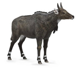 COLLECTA Nilgai - Échelle L