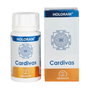 Equisalud Holoram Cardivas 60 capsules