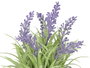 Ibergarden Macette Cylindre Lavande Assortie 15 x 21 x 15 cm Plastique Ciment Liège Violet Vert (Set de 36)