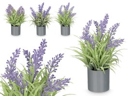 IBERGARDEN Lot de 36 Pots de Fleurs Cylindriques Lavande Morado-Verde