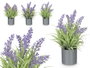 Ibergarden Macette Cylindre Lavande Assortie 15 x 21 x 15 cm Plastique Ciment Liège Violet Vert (Set de 36)