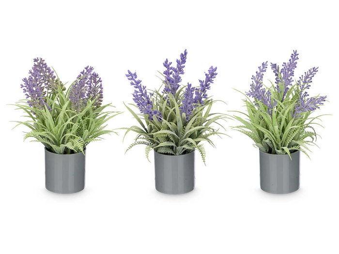 Ibergarden Macette Cylindre Lavande Assortie 15 x 21 x 15 cm Plastique Ciment Liège Violet Vert (Set de 36)
