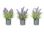 Ibergarden Macette Cylindre Lavande Assortie 15 x 21 x 15 cm Plastique Ciment Liège Violet Vert (Set de 36)
