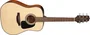 TAKAMINE GLD12E NS Dreadnought - Natural