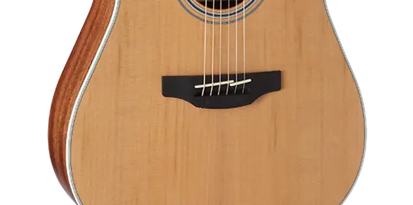 Takamine GD20CE-NS Takamine GD20CE-NS