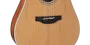 Takamine GD20CE-NS