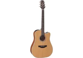 Takamine GD20 E/A Dreadnought Cutaway - Satin Natural