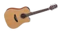 Takamine GD20CE-NS