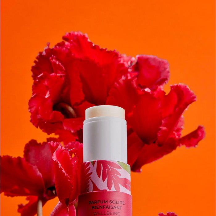 Roger & Gallet Eau Parfumée Bien-Être Ginger Rouge, Parfum Solide 5g Roger & Gallet Eau Parfumée Bien-Être Ginger Rouge, Parfum Solide 5g