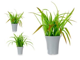 IBERGARDEN Lot de 6 Pots pour Plantes à Feuilles Gris-Vert