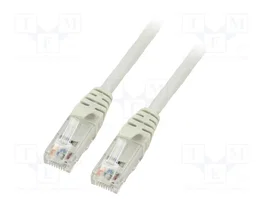 TELEGÄRTNER Câble Ethernet Cat 6 U/UTP 2m RJ45