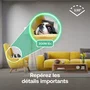 Arlo Essential 3 Lot de 2 caméras de surveillance 2K Intérieur – Vision nocturne WiFi